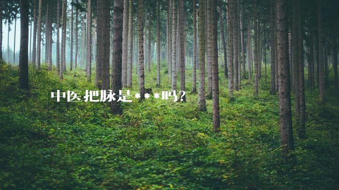 中医把脉是***吗？